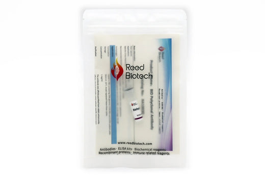 A clear plastic resealable pouch containing a Reed Biotech product kit, with a white insert card showing the brand name and product details, photographed on a white background.