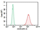 Anti-Human CD70 Antibody [113-16] - ABMIUM