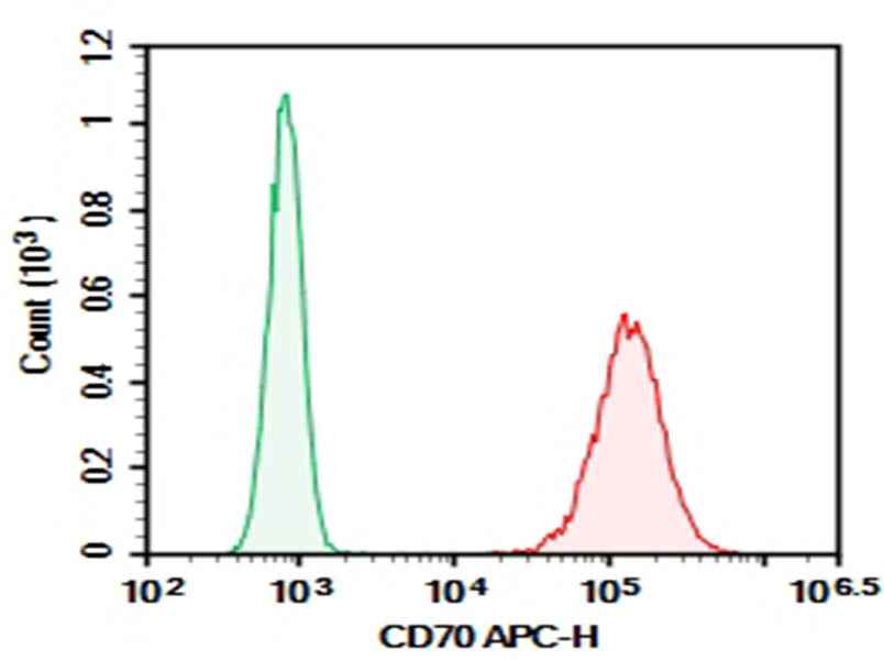 Anti-Human CD70 Antibody [113-16] - ABMIUM