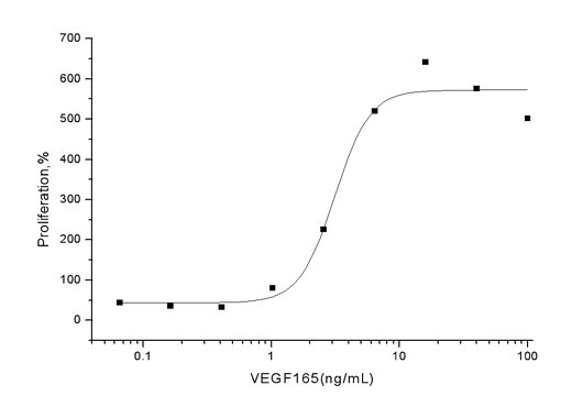 Measured in a cell proliferation assay using human umbilical vein endothelial cells (HUVEC). The ED<sub>50</sub> for this effect is typically 2-10 ng/mL.