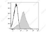 Anti-Mouse CD44 Antibody [NIM-R8] - ABMIUM
