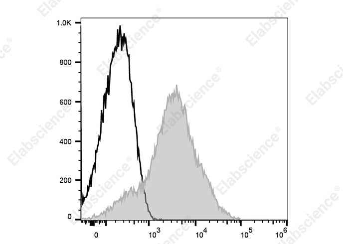 Anti-Mouse CD44 Antibody [NIM-R8] - ABMIUM