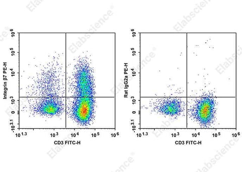 Anti-Human/Mouse Integrin β7 Antibody [FIB504] - ABMIUM