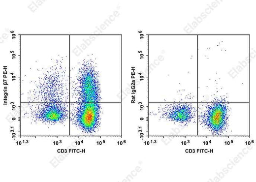 Anti-Human/Mouse Integrin β7 Antibody [FIB504] - ABMIUM