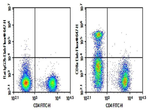 Anti-Mouse CD8a Antibody [YTS169.4] - ABMIUM