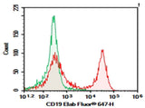 C57/BL6 Mouse splenocytes were stained with 0.2 μg AF/LE Purified Anti-Mouse CD19 Antibody[1D3] (Right) and 0.2 μg Rat IgG2a, κ Isotype Control (Left), followed by PE-conjugated Goat Anti-Rat IgG Secondary Antibody.