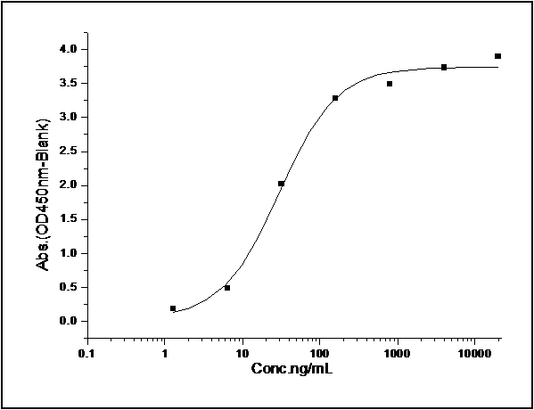 Measured by its binding ability in a functional ELISA. Immobilized recombinant mouse CD200 at 1 μg/ml (100 μl/well) can bind mouse CD200R1/Fc with a linear range of 1.5-200 ng/ml.