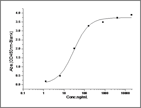 Measured by its binding ability in a functional ELISA. Immobilized recombinant mouse CD200 at 1 μg/ml (100 μl/well) can bind mouse CD200R1/Fc with a linear range of 1.5-200 ng/ml.