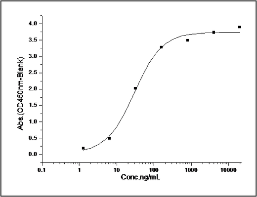 Measured by its binding ability in a functional ELISA. Immobilized recombinant mouse CD200 at 1 μg/ml (100 μl/well) can bind mouse CD200R1/Fc with a linear range of 1.5-200 ng/ml.