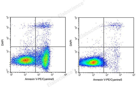 Annexin V-PE/Cyanine5/DAPI Apoptosis Kit - ABMIUM