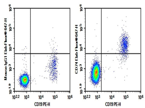 Human peripheral blood lymphocytes were stained with 0.2 μg Purified Anti-Human CD74 Antibody[LL1] (Right) and 0.2 μg Mouse IgG1, κ Isotype Control (Left), followed by Elab Fluor<sup>®</sup> 647-conjugated Goat Anti-Mouse IgG Secondary Antibody, then anti-Human CD19 PE-conjugated Monoclonal Antibody.