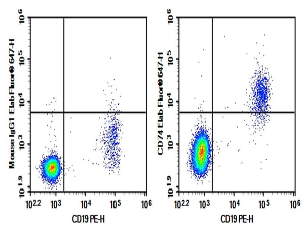 Human peripheral blood lymphocytes were stained with 0.2 μg Purified Anti-Human CD74 Antibody[LL1] (Right) and 0.2 μg Mouse IgG1, κ Isotype Control (Left), followed by Elab Fluor<sup>®</sup> 647-conjugated Goat Anti-Mouse IgG Secondary Antibody, then anti-Human CD19 PE-conjugated Monoclonal Antibody.