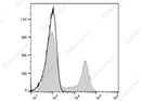 Anti-Human/Rhesus/Cynomolgus CD8 Antibody [SK1] - ABMIUM