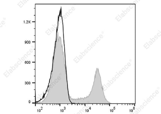 Anti-Human/Rhesus/Cynomolgus CD8 Antibody [SK1] - ABMIUM
