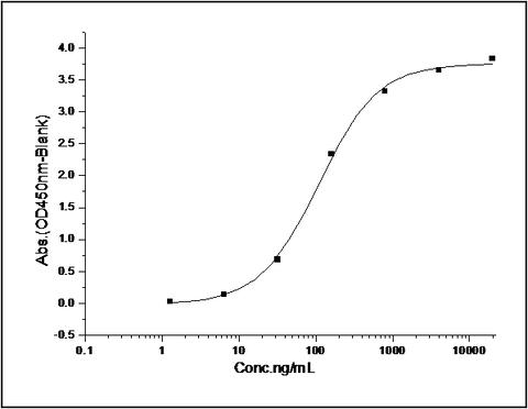 Measured by its binding ability in a functional ELISA. Immobilized human PD1-His (Cat: PKSH031642) at 10 μg/mL (100 μl/well) can bind mouse PD-L2-Fc, The EC<sub>50</sub> of mouse PD-L2-Fc is 0.95 μg/mL.