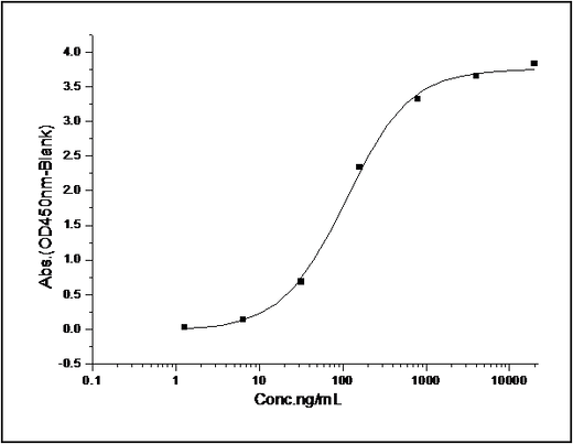 Measured by its binding ability in a functional ELISA. Immobilized human PD1-His (Cat: PKSH031642) at 10 μg/mL (100 μl/well) can bind mouse PD-L2-Fc, The EC<sub>50</sub> of mouse PD-L2-Fc is 0.95 μg/mL.