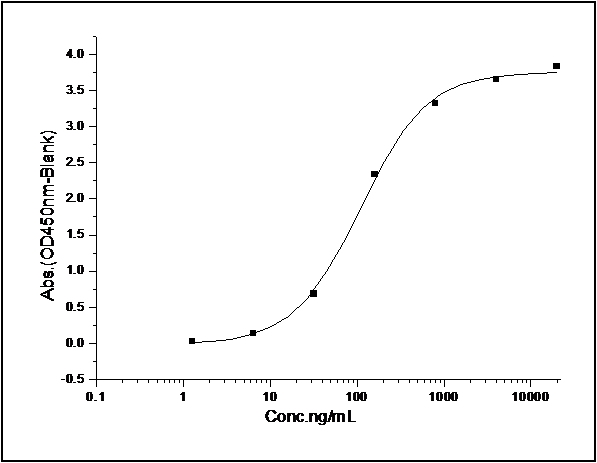 Measured by its binding ability in a functional ELISA. Immobilized human PD1-His (Cat: PKSH031642) at 10 μg/mL (100 μl/well) can bind mouse PD-L2-Fc, The EC<sub>50</sub> of mouse PD-L2-Fc is 0.95 μg/mL.