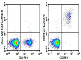 Anti-Human CD19 Antibody [SJ25C1] - ABMIUM
