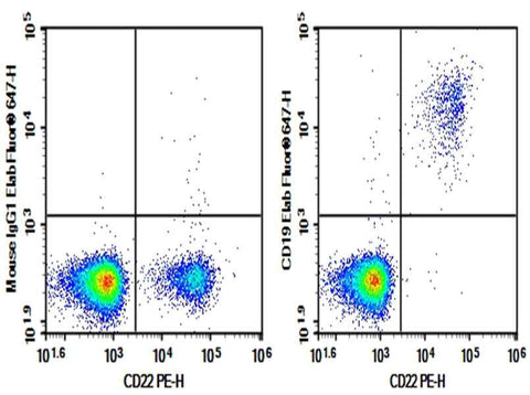 Anti-Human CD19 Antibody [SJ25C1] - ABMIUM