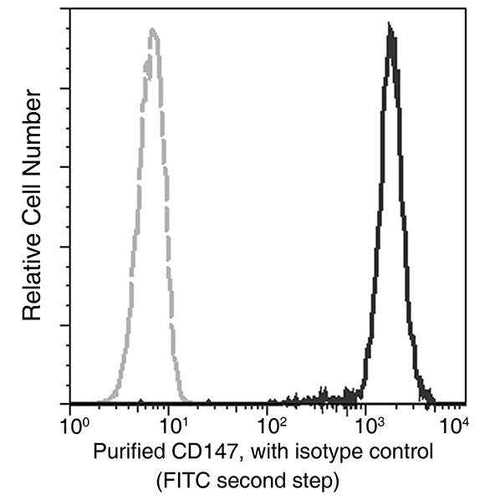 Anti-Human BSG Antibody [A1135] - ABMIUM