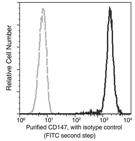 Anti-Human BSG Antibody [A1135] - ABMIUM
