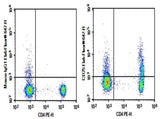 Anti-Human CD25 Antibody [CHI621] - ABMIUM