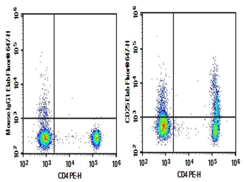 Anti-Human CD25 Antibody [CHI621] - ABMIUM
