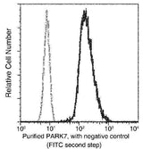 Anti-Human PARK7 Antibody [B175]