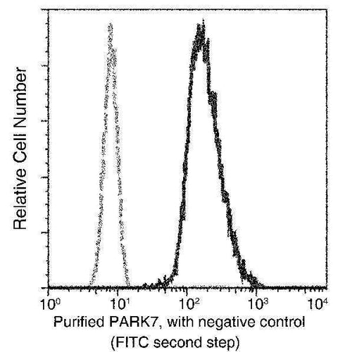 Anti-Human PARK7 Antibody [B175] - ABMIUM