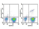 Anti-Human TCR Vβ3 Antibody [JOVI.3] - ABMIUM