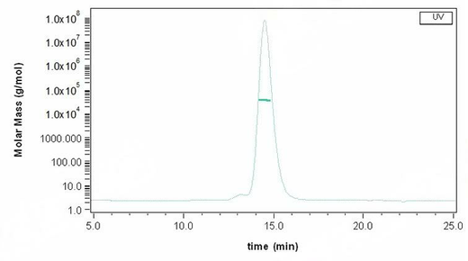 The purity of Human CD16b / FCGR3B Protein (His Tag, NA2 allotype) (Cat: PKSH031291) is more than 95% and the molecular weight of this protein is around 33-43 kDa verified by SEC-MALS.