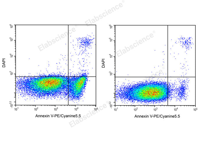Annexin V-PE/Cyanine5.5/DAPI Apoptosis Kit - ABMIUM