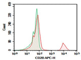 Human peripheral blood lymphocytes were stained with 0.2 μg Purified Anti-Human CD20 Antibody[HI20a] (Right) and 0.2 μg Mouse IgG2a, κ Isotype Control (Left), followed by APC-conjugated Goat Anti-Mouse IgG Secondary Antibody.
