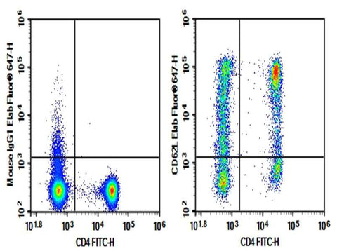Anti-Human CD62L Antibody [DREG.55] - ABMIUM