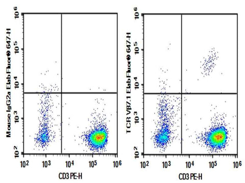 Anti-Human TCRVβ7.1 Antibody [ZOE5.1] - ABMIUM