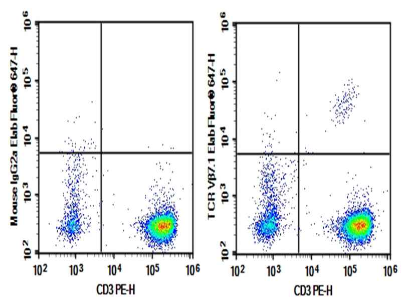 Anti-Human TCRVβ7.1 Antibody [ZOE5.1] - ABMIUM