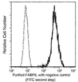 Anti-Human FABP6 Antibody [B176]