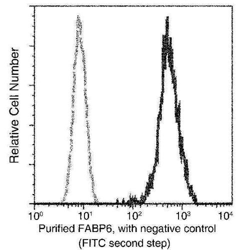Anti-Human FABP6 Antibody [B176] - ABMIUM