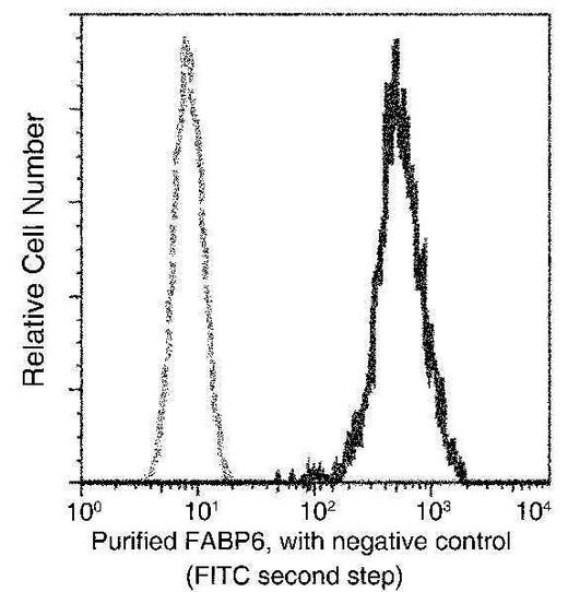 Anti-Human FABP6 Antibody [B176] - ABMIUM