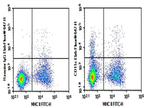 C57/BL6 Mouse splenocytes were stained with 0.2 μg AF/LE Purified Anti-Mouse CD11c Antibody[N418] (Right) and 0.2 μg Armenian Hamster IgG, κ Isotype Control (Left), followed by Elab Fluor<sup>®</sup> 647-conjugated Goat Anti- Armenian Hamster IgG Secondary Antibody, then anti-Mouse MHC II FITC-conjugated Monoclonal Antibody.