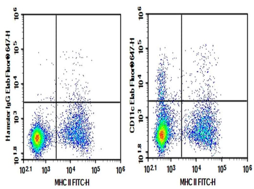 C57/BL6 Mouse splenocytes were stained with 0.2 μg AF/LE Purified Anti-Mouse CD11c Antibody[N418] (Right) and 0.2 μg Armenian Hamster IgG, κ Isotype Control (Left), followed by Elab Fluor<sup>®</sup> 647-conjugated Goat Anti- Armenian Hamster IgG Secondary Antibody, then anti-Mouse MHC II FITC-conjugated Monoclonal Antibody.