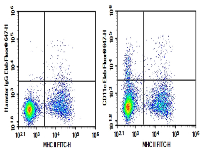 C57/BL6 Mouse splenocytes were stained with 0.2 μg AF/LE Purified Anti-Mouse CD11c Antibody[N418] (Right) and 0.2 μg Armenian Hamster IgG, κ Isotype Control (Left), followed by Elab Fluor<sup>®</sup> 647-conjugated Goat Anti- Armenian Hamster IgG Secondary Antibody, then anti-Mouse MHC II FITC-conjugated Monoclonal Antibody.