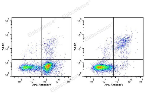 Annexin V-APC/7-AAD Apoptosis Kit - ABMIUM