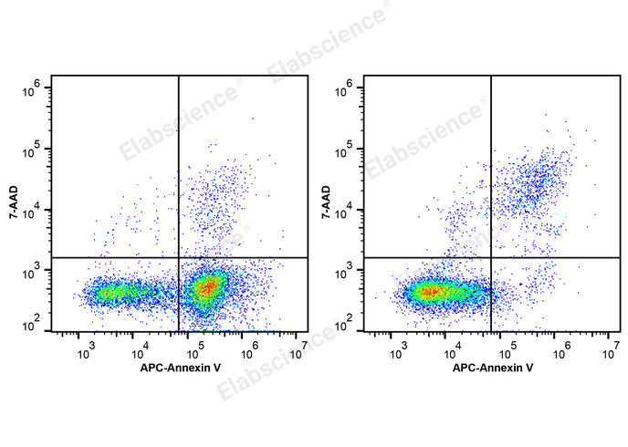 Annexin V-APC/7-AAD Apoptosis Kit - ABMIUM