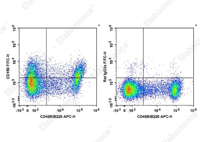 C57BL/6 murine splenocytes are stained with APC Anti-Mouse CD45R/B220 Antibody and FITC Anti-Mouse CD150 Antibody[TC15-12F12.2] (Left). Splenocytes are stained with APC Anti-Mouse CD45R/B220 Antibody and FITC Rat IgG2a, λ Isotype Control (Right). 