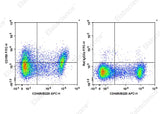 C57BL/6 murine splenocytes are stained with APC Anti-Mouse CD45R/B220 Antibody and FITC Anti-Mouse CD150 Antibody[TC15-12F12.2] (Left). Splenocytes are stained with APC Anti-Mouse CD45R/B220 Antibody and FITC Rat IgG2a, λ Isotype Control (Right). 