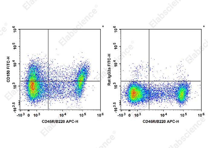 C57BL/6 murine splenocytes are stained with APC Anti-Mouse CD45R/B220 Antibody and FITC Anti-Mouse CD150 Antibody[TC15-12F12.2] (Left). Splenocytes are stained with APC Anti-Mouse CD45R/B220 Antibody and FITC Rat IgG2a, λ Isotype Control (Right). 