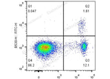 C57BL/6 splenocytes are surface stained with APC Anti-Mouse CD4 Monoclonal Antibody followed by fixation and permeabilization using the Foxp3 Staining/Transcription Factor Buffer Set and intracellular staining with FITC Anti-Mouse Foxp3 Monoclonal Antibody.