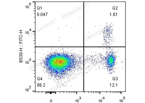 C57BL/6 splenocytes are surface stained with APC Anti-Mouse CD4 Monoclonal Antibody followed by fixation and permeabilization using the Foxp3 Staining/Transcription Factor Buffer Set and intracellular staining with FITC Anti-Mouse Foxp3 Monoclonal Antibody.