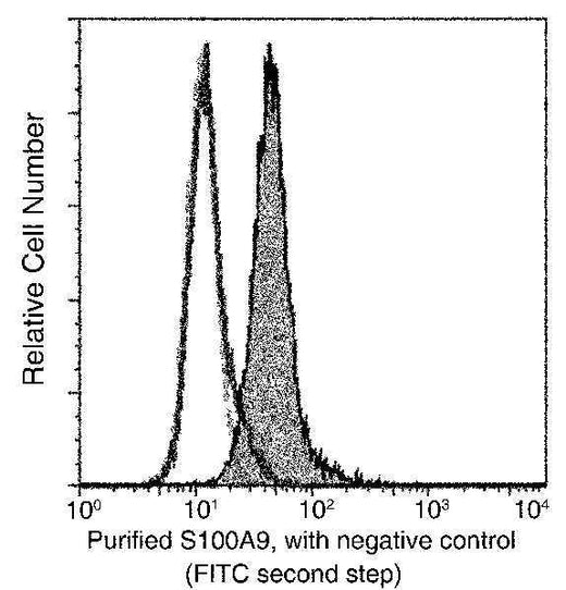 Anti-Human S100A9 Antibody [A884] - ABMIUM